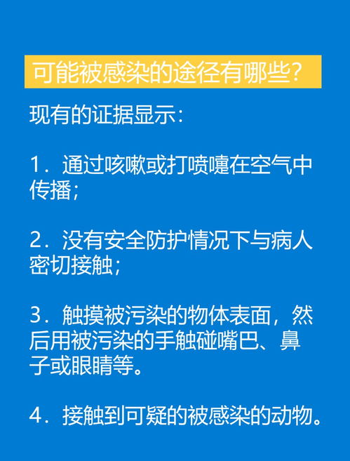 派出所查酒店住房记录，保障公共安全的关键环节