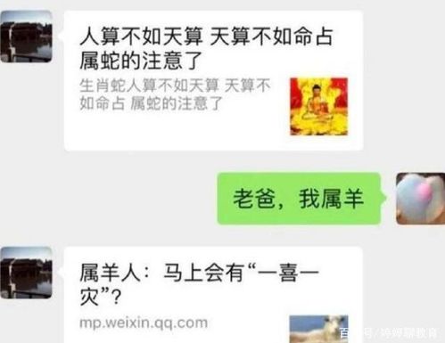 父母能否查看自己的酒店记录？