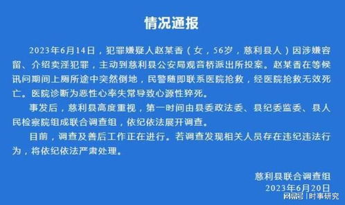 派出所查酒店开房记录，保障公共安全的重要一环