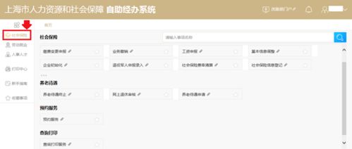 公安系统酒店记录查询，了解如何查询及操作