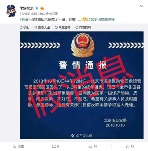 派出所总查酒店记录，保障公共安全的第一线