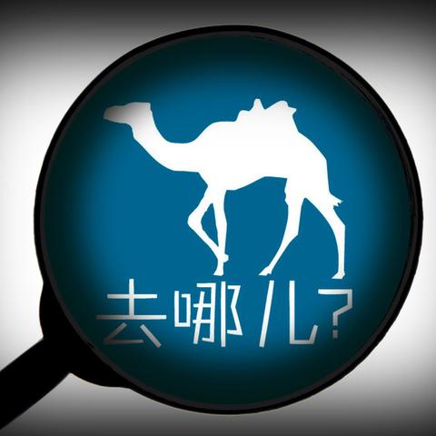 和朋友住酒店记录查询攻略，保护隐私，获取安心的住宿体验