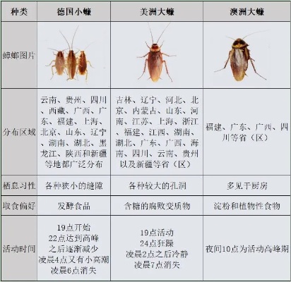 酒店打蟑螂记录查询攻略，步骤、注意事项与常见问答