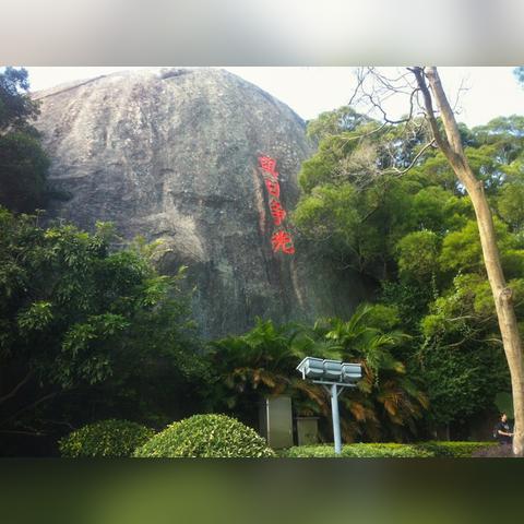 酒店里的住宿记录查询方法与步骤