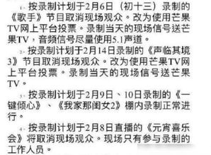 董事长查自家酒店记录，细节、挑战与解决方案