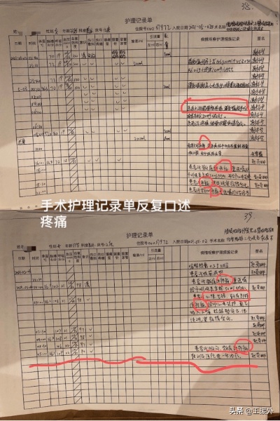 揭秘酒店记录单，保护隐私，明辨是非，还是探寻真相？