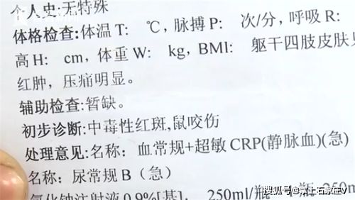 突查酒店记录，法律、安全及其他因素