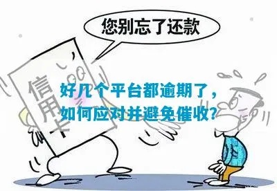 追款之路，平台拖延拒绝不给出款，我们如何应对？