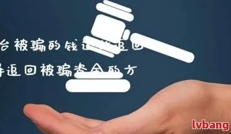 网上黑客追款，真相揭秘，能否提现成疑