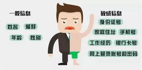 同住人详细信息揭秘，隐私保护的挑战与解决方案