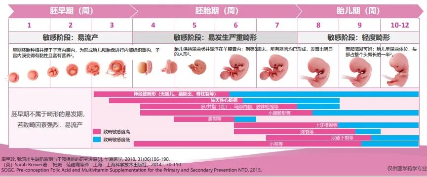 中孕多少周 中孕多少周到多少周