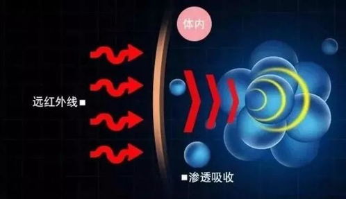 斗地主app有挂，斗地主app有挂，揭秘作弊背后的真相