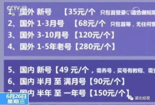 掌心惠州麻将作弊，掌心惠州麻将作弊揭秘揭示背后的黑色产业链及防范措施