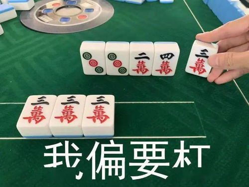 吹牛麻将作弊软件，揭秘神秘江湖，吹牛麻将作弊软件的真相