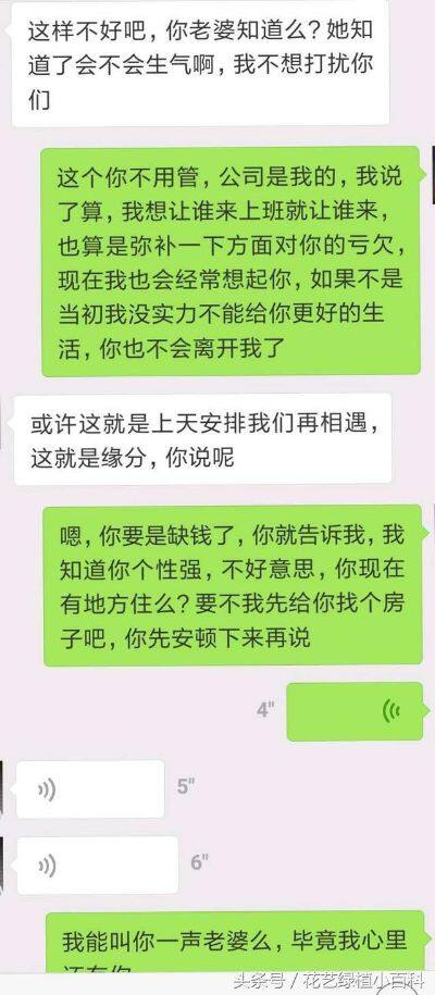 老公手机上聊天记录如何查看