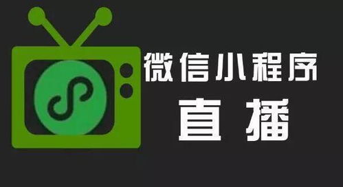 微信直播小程序升级指南，从新手到高手的必备教程