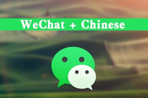 Exploring the English Version of WeChat Chat History