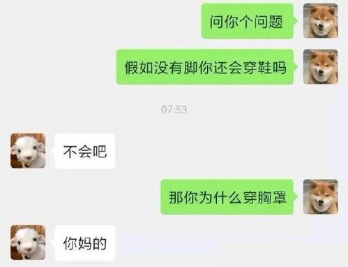 揭秘黑科技，如何轻松查聊天记录？