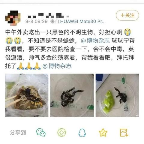 微信小程序外卖退款流程详解，如何进行退款操作