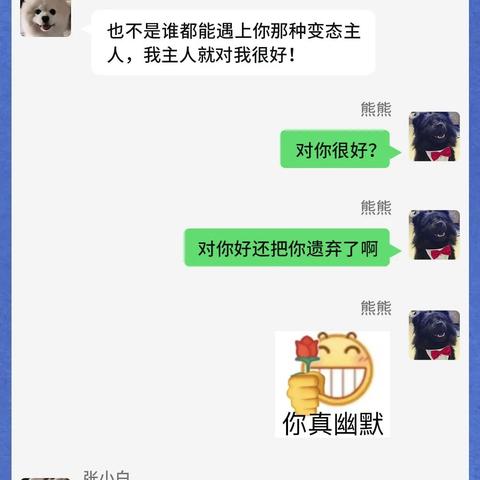 手机QQ聊天记录怎么查，掌握这些方法，轻松找到你的聊天记录