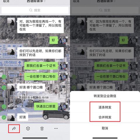 网上怎么查询他人微信聊天记录