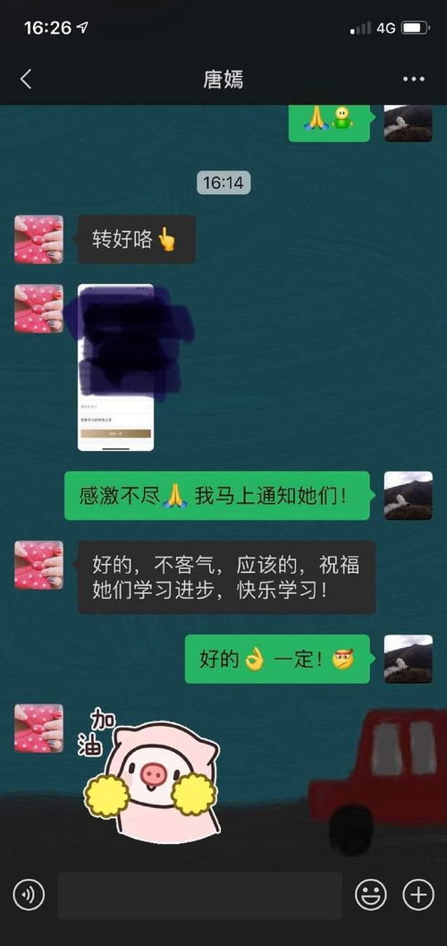 芜湖掌心麻将作弊ios，揭秘，芜湖掌心麻将作弊ios的真相