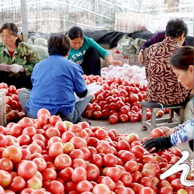 山西五金贴标机定制，精准制造与市场对接