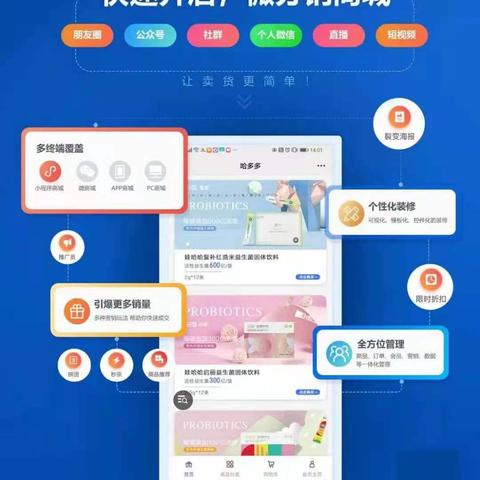 微信分销小程序商城，开启高效营销与销售的新时代