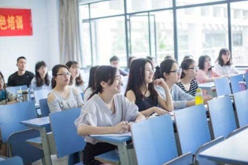 初中生电脑配备指南——为未来学习生活做好准备