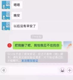 如何查看爱人的微信聊天记录，理解与信任之间的微妙平衡