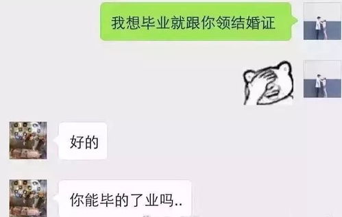 福建怎么查聊天记录