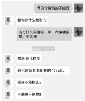 探秘网络空间——查贴吧聊天记录的艺术与风险