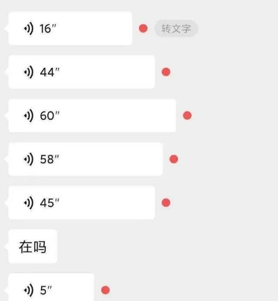 怎样查语音聊天记录，掌握隐私保护与数据安全的技巧