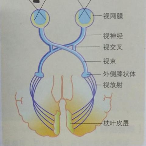 清远精密五金定制的卓越追求