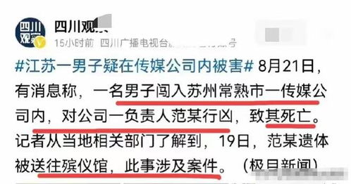 关于老公微信聊天记录如何偷看，一个关于违法犯罪问题的探讨