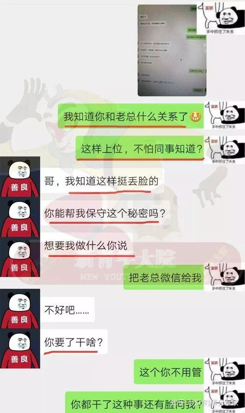 揭秘真相，如何查看他人的微信聊天记录？违法行为的警示与解析