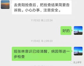 如何查看爱人的微信聊天记录，理解与信任之间的微妙平衡