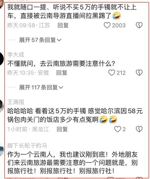 掌握私信秘密，网友私信聊天记录的神秘之旅