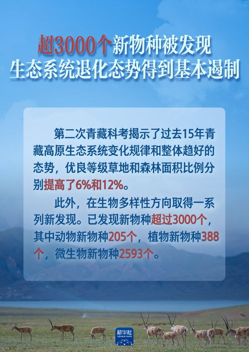 青岛海报五金定制价格，探索市场与成本的平衡艺术