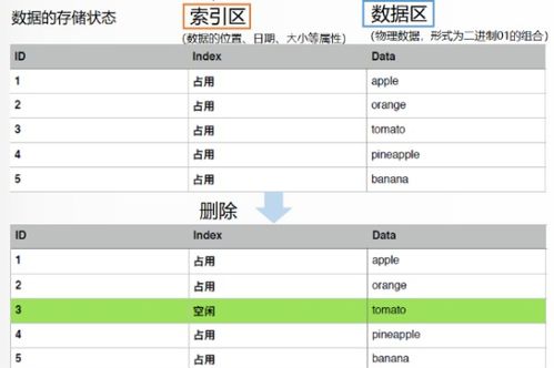 如何查询个人聊天记录，隐私保护与数据追踪的艺术