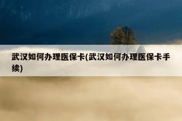 武汉汉阳区医保卡取现额度解析及实用指南