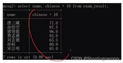 微信小程序与MySQL数据库交互，技术解析与实践指南