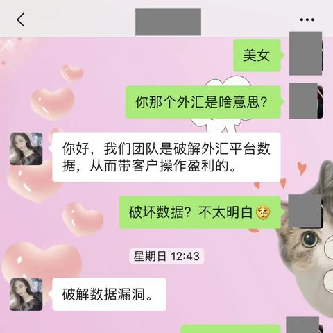 警惕与智慧，男子查妻子聊天记录被骗的警示