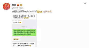 在三亚的阳光下，查聊天记录的真相与挑战