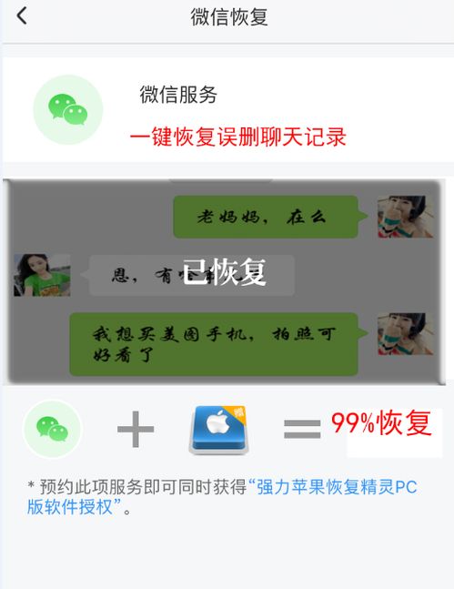 掌握转账的艺术，查聊天记录的实用技巧