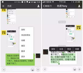 转账查聊天记录明细——解锁金融交易的透明度