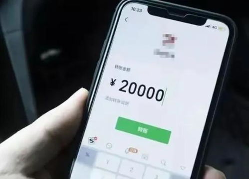 转账查聊天记录明细——解锁金融交易的透明度