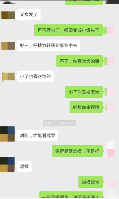 揭秘网络世界，如何查询他人聊天记录内容