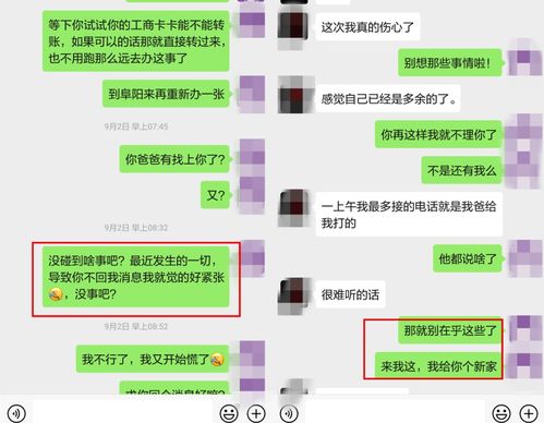 公安查微信聊天记录期限探讨与实践，法律框架下的隐私保护与信息审查