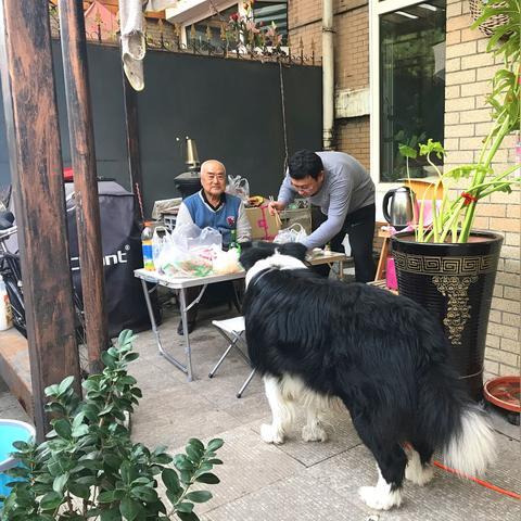 哈尔滨配电脑，探索科技与生活的完美融合